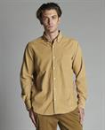 BTN DOWN COLLAR L/S CORDUROY 1000 STRIPES G/D BEIGE