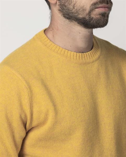 ROUND NECK 80%WOOL/20%NYLON YELLOW