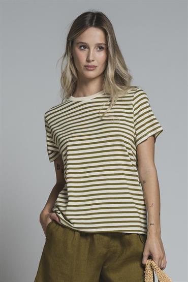 TSHIRT S/S JERSEY Y/D OIL STRIPE