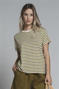 TSHIRT S/S JERSEY Y/D OIL STRIPE