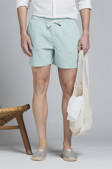 SWIMMING TRUNKS SEERSUCKER ALLOVER PRN GREEN STRIPE